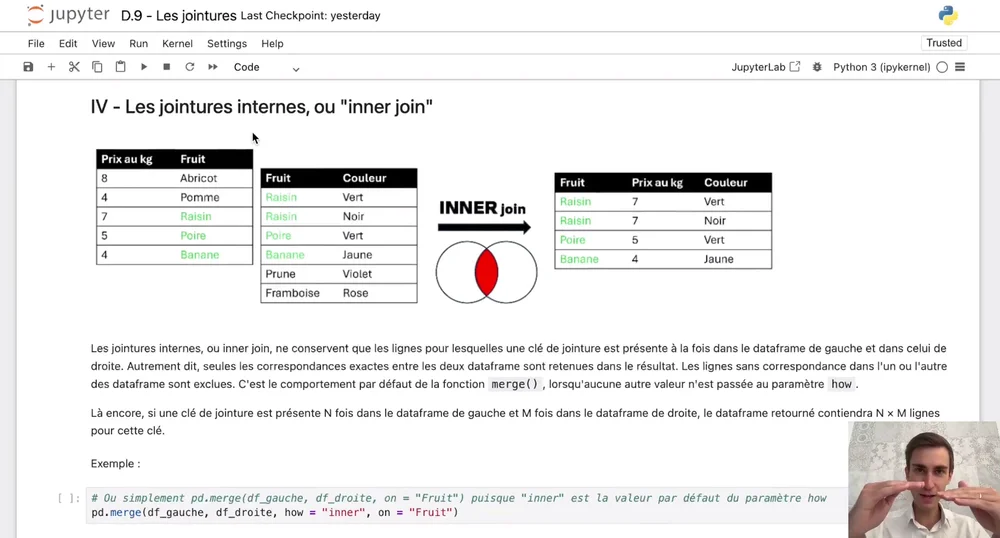 Aperçu d'un cours — Les jointures internes dans Jupyter Notebook